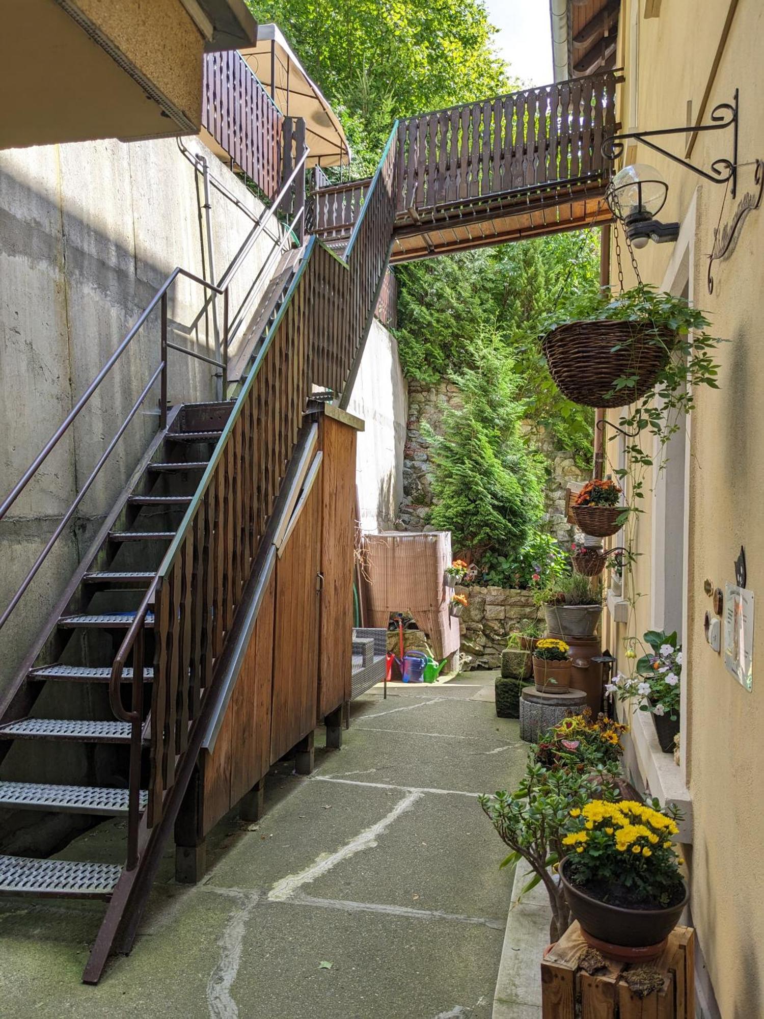 Waldblickwohnung Mit Schoener Terrasse Und Kamin Sebnitz Exterior foto